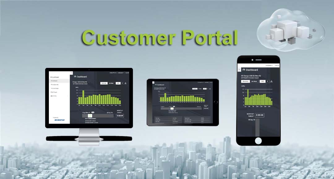 Customer Portal mobile friendly data visualization and user interaction app